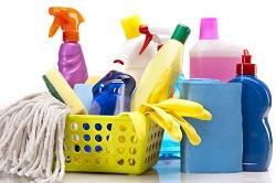 domestic cleaning services