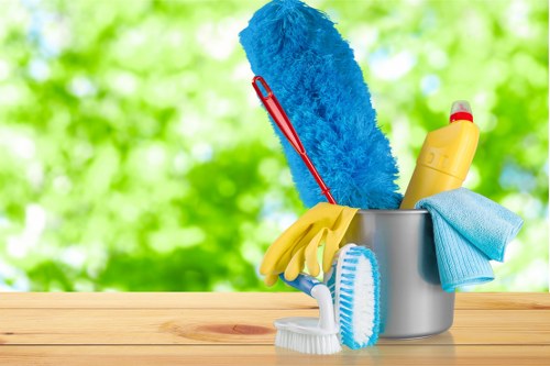 Professional carpet cleaning in a clean interior space