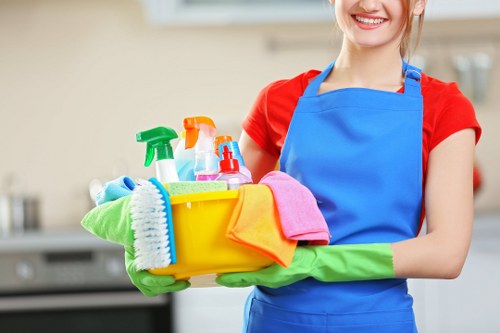 Deep cleaning cleaners carefully restoring a bright and tidy interior space