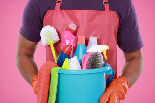 Specialized fabric cleaning process in a professional cleaner