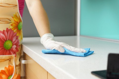 Professional carpet cleaner removing dirt from a living room carpet