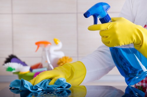 Deep cleaning cleaners pricing overview for a home interior