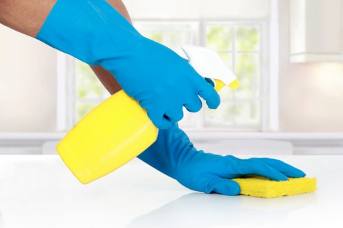 Professional oven cleaner service removing grease from a kitchen oven