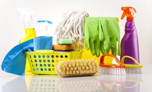 Detailed cleaning of bathroom surfaces during a one off service