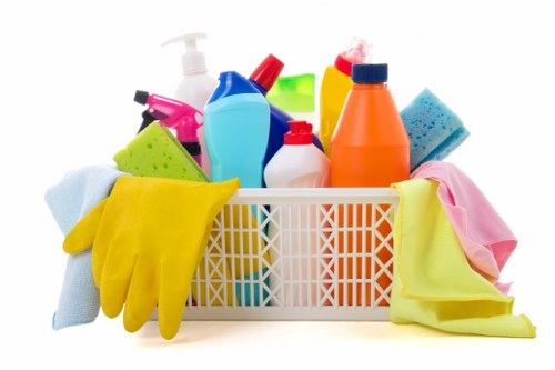 Supervisor reviewing safety procedures before a cleaning job