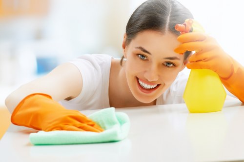 Carpet cleaning process showing extraction and stain removal