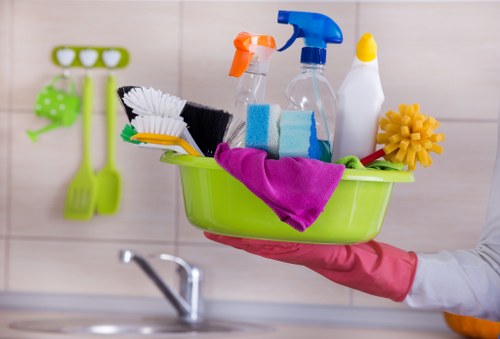 Professional cleaning company in Cleaners servicing a bright home interior