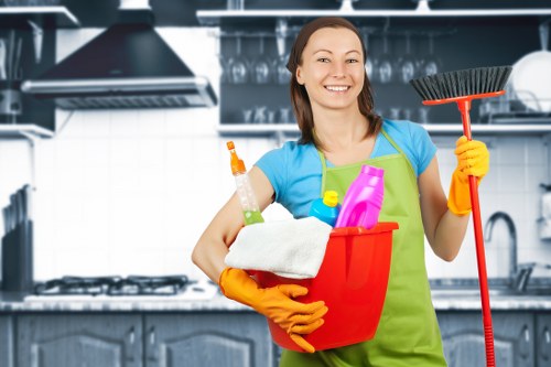 Professional deep cleaning service at a domestic property interior