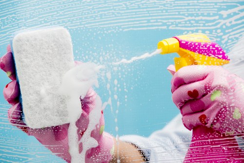 Professional cleaner performing detailed cleaning tasks