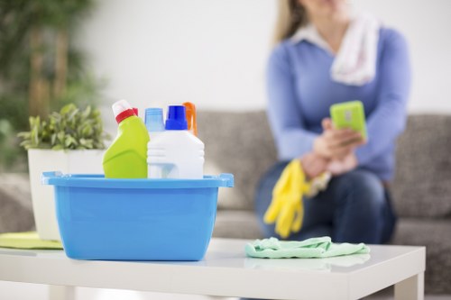 Screen-reader compatible browsing on Deep Cleaning Cleaners