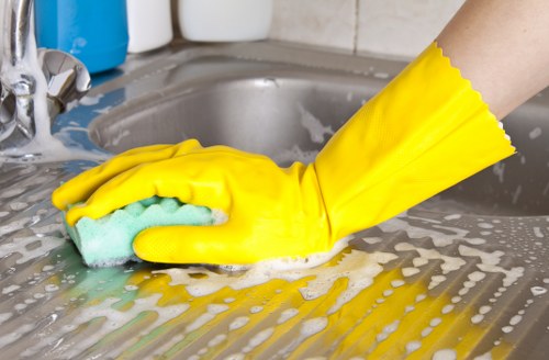 Kitchen domestic cleaning with sanitizing and surface wiping