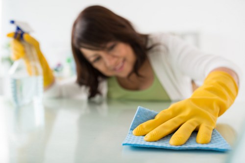 Deep cleaning process for a sofa with steam extraction