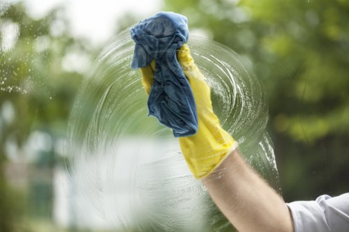 Stain treatment and inspection during deep cleaning service