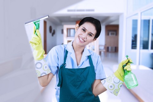 Cleaners sanitising a property after a full house clearance