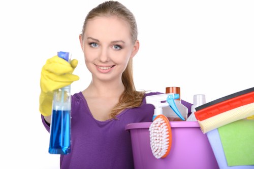 Final review of professional deep cleaning service terms