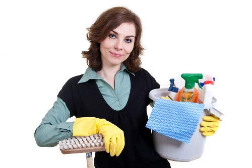 Assorted deep cleaning cleaners for seasonal and routine maintenance
