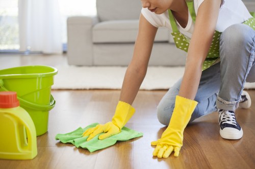 Cleaner using tools and supplies in a home environment