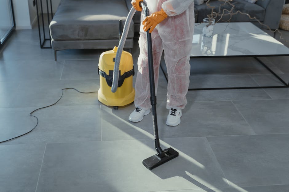 Professional carpet cleaning stain removal guide for stubborn marks