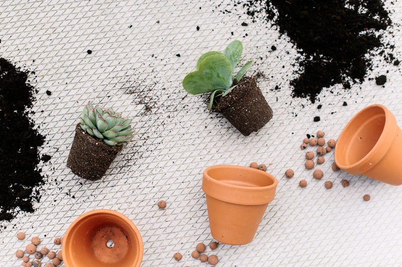 carpet cleaning Deep cleaning